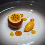 Gastronomy Joel Robuchon