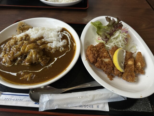 ファミリーレストラン ニューあぶくま - 藤田（コロッケ）の写真