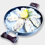 SOUTH HORIZON BREWING - 