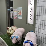 パンカハンカ 伏見店 - ブタさんがお出迎え