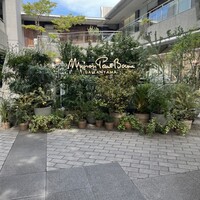 メゾン ポール・ボキューズ - 