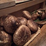 蓮.TETSU - カウンターに置かれた松茸