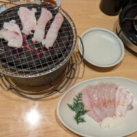 とらふぐ城 -  とらふぐ城 -