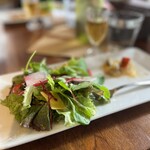 さくら坂ＶＩＶＡＣＥ - 