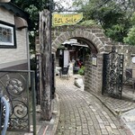 さくら坂ＶＩＶＡＣＥ - 