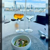 International cuisine subzero - 