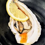 Shinjuku Maruko Suisan - ”活き”生牡蠣（北海道厚岸産)