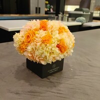 セリュー - 