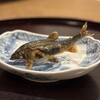 割烹 市川 - 琵琶湖 子持ち鮎塩焼き　