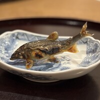 割烹 市川 - 琵琶湖 子持ち鮎塩焼き　