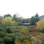 齋華 - そしてその後お邪魔した「東福寺」