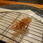 天ぷら料理 さくら - 