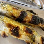 板取川 洞戸観光ヤナ - 