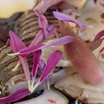 Refugeforestiere 五島 - いろどりも美しい