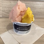 jerateriya HIRANUMA 西武所沢S.C.店 - 