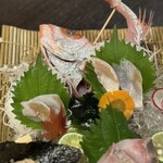 魚と日本酒 どまん中 はなれ 秋葉原店 - 