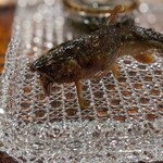 料理屋 植むら - 