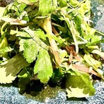 火曜日のタエコ - 