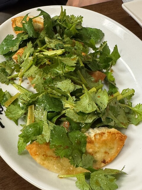 Gyoza Sakaba Issei Ichidai Second Sakae Ten photo 2