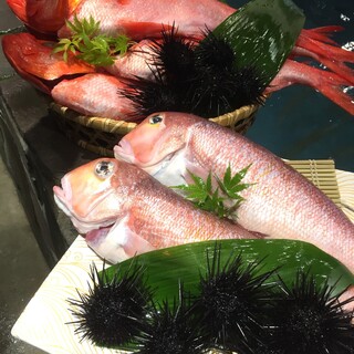 福岡近郊の対馬・玄界灘で獲れた新鮮な魚介類を鉄板焼きで♪