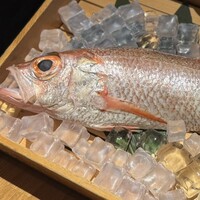 のどぐろ専門 銀座 中俣 - 