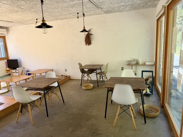 Frank the 539 photo 4