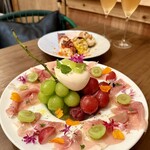 Ms.Plate - 