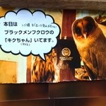 フクロウコーヒー - 