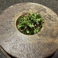 アニエルドール - 