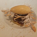 カシュ カシュ - 