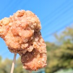 あげ処 ぶんごや - 料理写真:骨なしもも身。