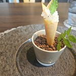 カシュ カシュ - 