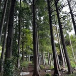 6Hundred cafe - 外にはお手製ブランコも。ロープが長く浮遊感が高く、ハイジ気分が味わえます