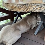 MITAKE Deck Cafe Bitte - 