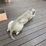 MITAKE Deck Cafe Bitte - 