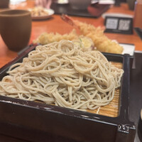 蕎麦 蘇枋 -  蕎麦 蘇枋 -