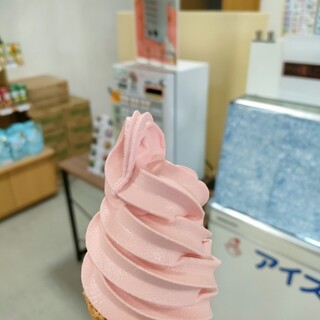 道の駅 とうま_0