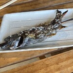 (有)村上養魚場 六地蔵店 - 