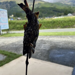 (有)村上養魚場 六地蔵店 - 