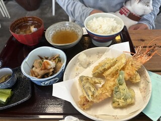 Shinshu Soba Dokoro Kirisato - 天ぷら定食