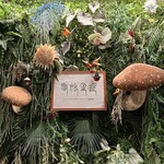 Shangri-La’s secret - 