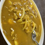 香美園 - 中華カレー（1.5人前）