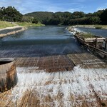 大瀬観光やな - 