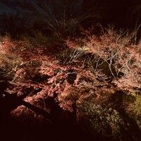 TENJIN - 