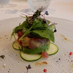 アロマティコ - 前菜アップ