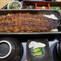 うなぎ 四代目 菊川 グローバルゲート店 - 