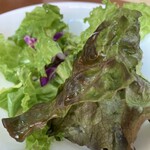 イルカルディナーレ 赤坂店 - 