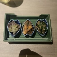 始祖鳥 - 