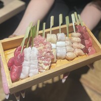始祖鳥 - 