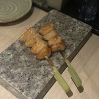 始祖鳥 - 